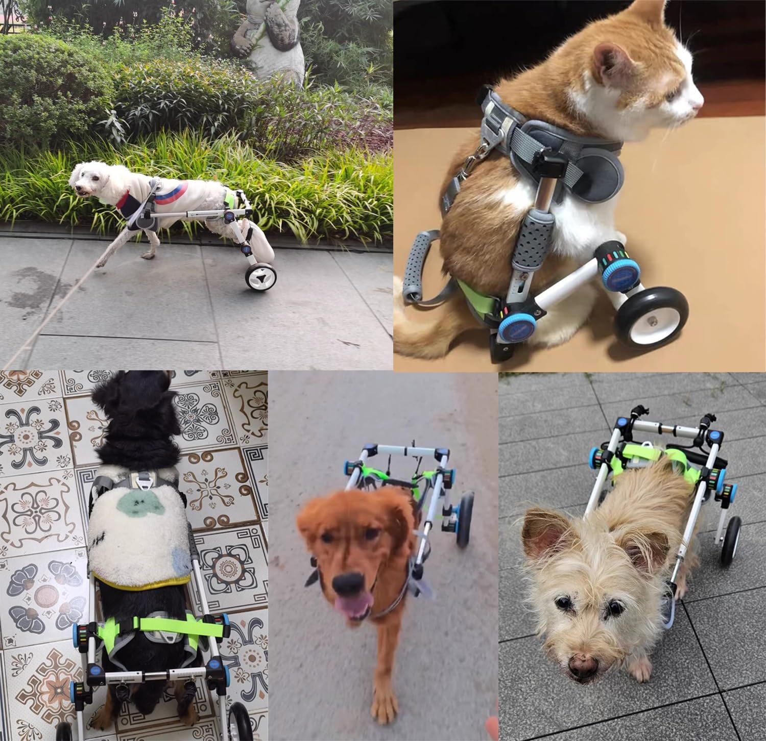 Amazon.co.jp: 犬と猫のための快適なペット車椅子 – 折りたたみ式通気